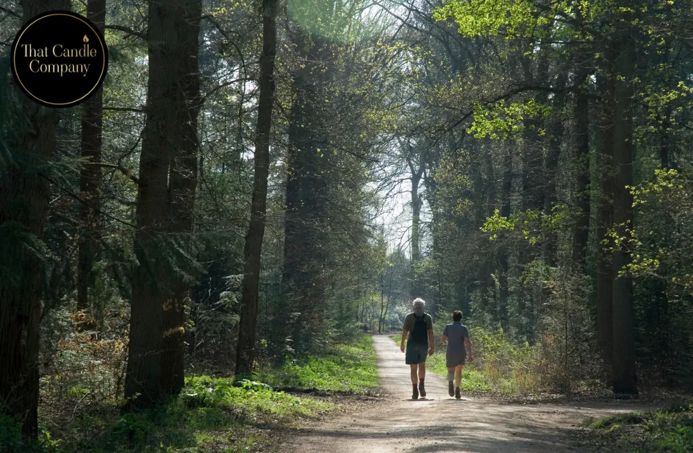 Finding Calm and Wellness in Nature